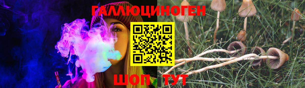 Галлюциногенные грибы Psilocybe Барнаул