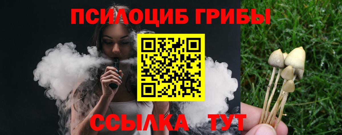 Галлюциногенные грибы GOLDEN TEACHER  Барнаул  Галлюциногенные грибы мицелий 